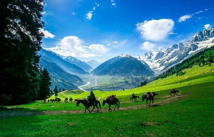 Sonamarg